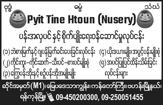 Pyit Tine Htoun
