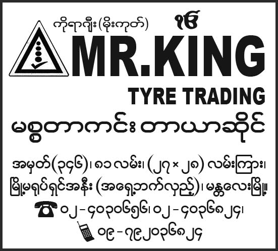Mr. King Tyre Trading