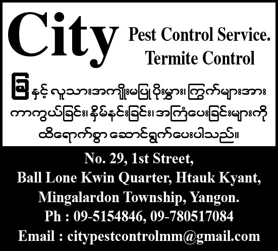 City Pest Control Service