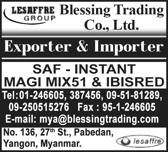 Blessing Trading Co., Ltd.