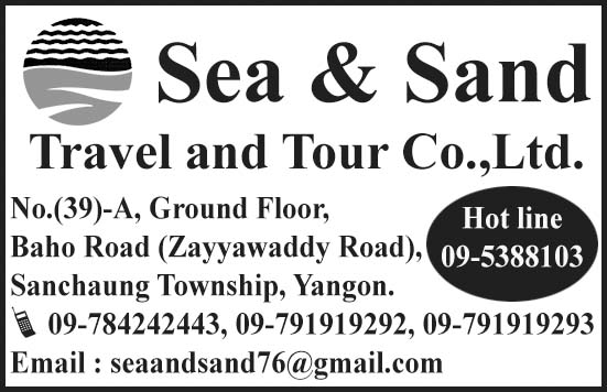 sea tour co. ltd