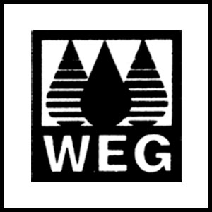 Waterworks Engineering Group Services Co., Ltd. (WEG)