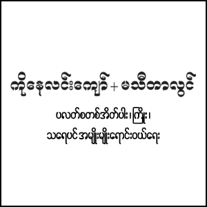 Ko Nay Lin Kyaw + Ma Thida Lwin