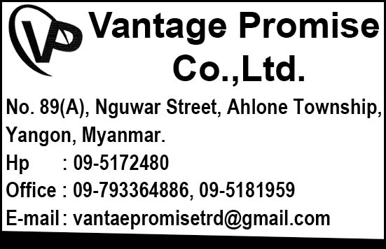 Vantage Promise Co., Ltd.