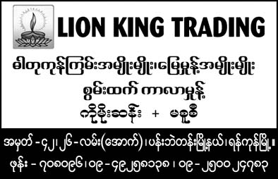 Lion King Trading