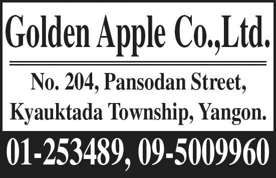 Golden Apple Co., Ltd.