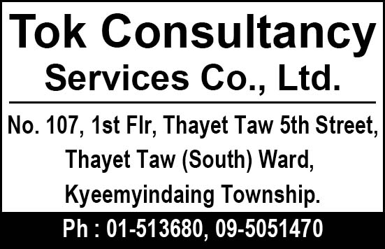 TOK Consultancy Services Co., Ltd.