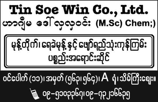 Tin Soe Win Co., Ltd.
