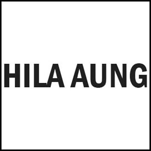 Hila Aung Systematic Building Services and Engineering Consultancies Co., Ltd.