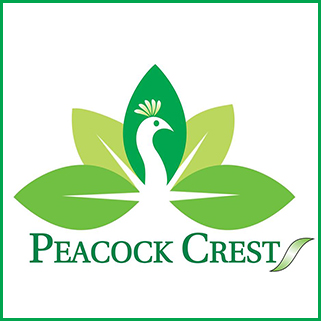 Peacock Crest Travels and Tours