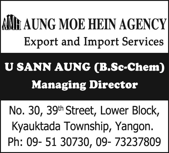Aung Moe Hein Agency