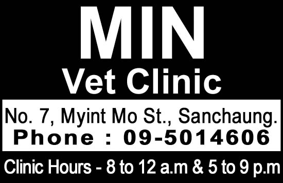 Min Vet Clinic